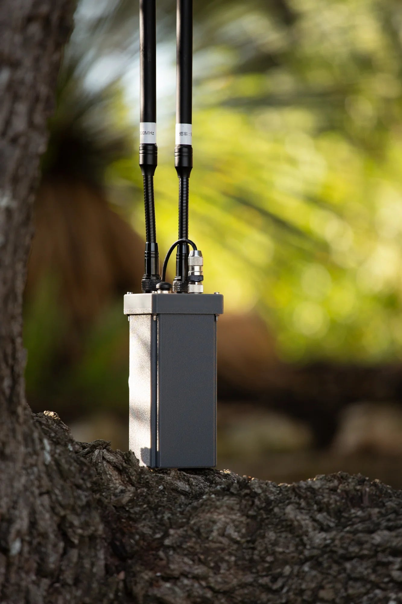 Nucleus IP Mesh Network